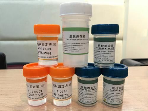組織固定液的產品特點與優越性 試劑耗材的專業解析